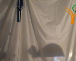 centroesnia-sombras2